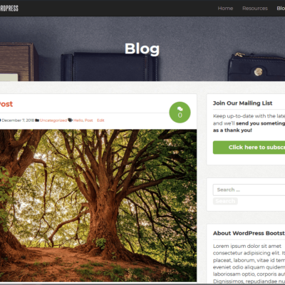 Custom WordPress theme blog